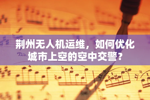 荆州无人机运维，如何优化城市上空的空中交警？