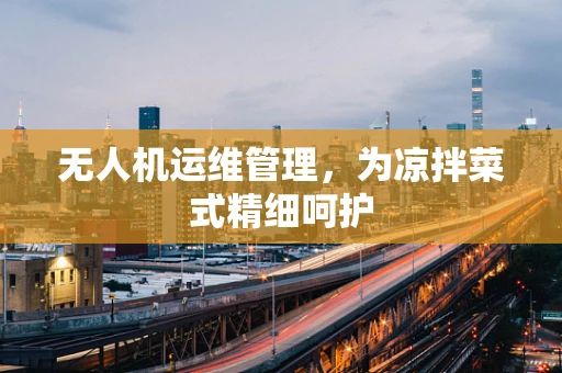 无人机运维管理，为凉拌菜式精细呵护