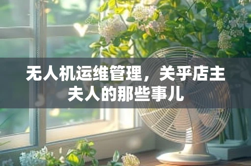 无人机运维管理，关乎店主夫人的那些事儿