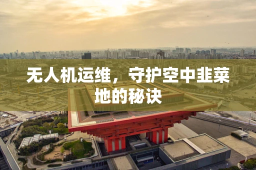 无人机运维，守护空中韭菜地的秘诀