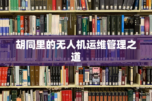 胡同里的无人机运维管理之道