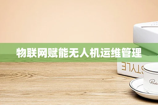 物联网赋能无人机运维管理