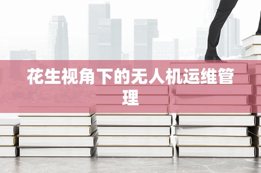 花生视角下的无人机运维管理