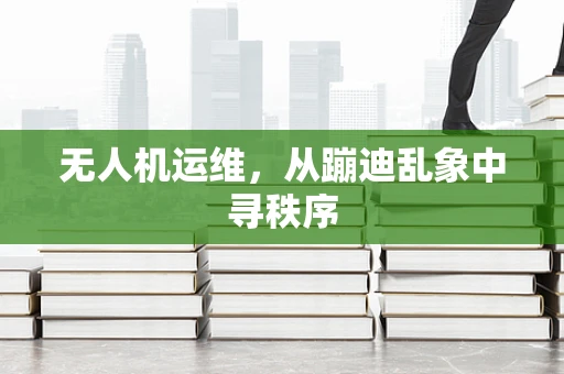 无人机运维，从蹦迪乱象中寻秩序