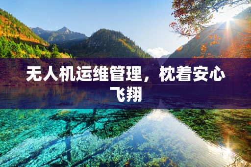 无人机运维管理，枕着安心飞翔