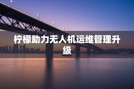 柠檬助力无人机运维管理升级