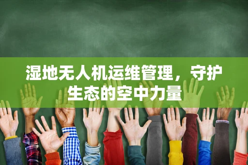 湿地无人机运维管理，守护生态的空中力量