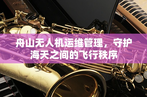 舟山无人机运维管理，守护海天之间的飞行秩序